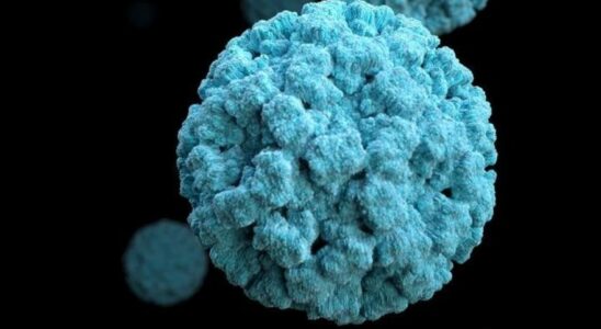 AUGMENTATION DES CAS DE NOROVIRUS Il sagit dune etrange