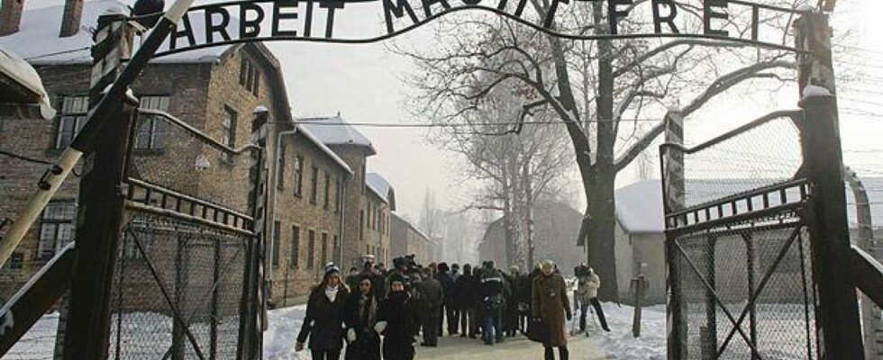 Auschwitz celebre le 80e anniversaire de sa liberation avec 50