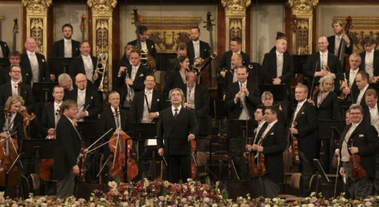 Constanze Geiger vole la vedette aux Strauss lors dun concert