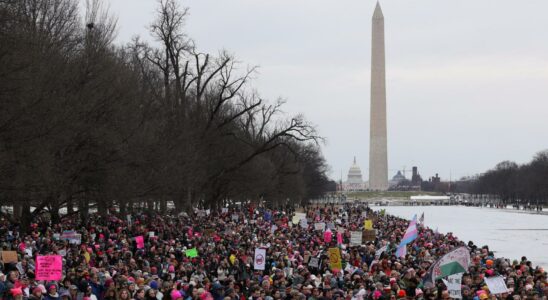 Des milliers de personnes defilent a Washington DC pour protester