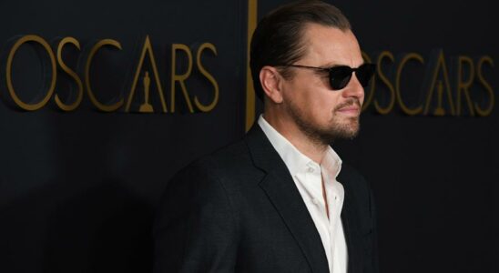 INCENDIES A LOS ANGELES Critique de Leonardo DiCaprio pour