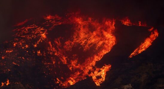 Il y a plus de 2 000 hectares brules