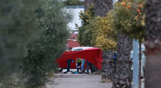 Ils arretent une deuxieme personne impliquee dans lattaque au couteau