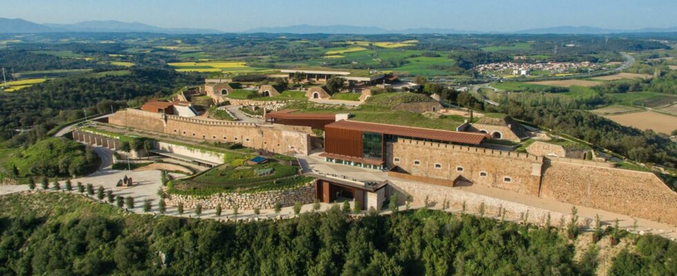 Les freres Roca choisissent dans leur chateau les meilleures oeuvres