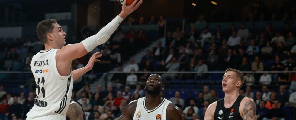 Mario Hezonja redonne le sourire au Real Madrid en Euroligue