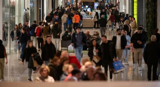 Quatre personnes arretees pour avoir cambriole deux magasins a Puerto