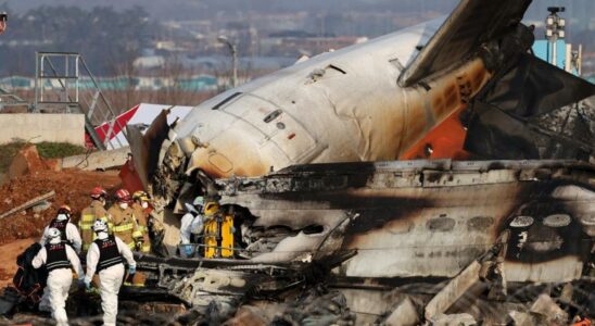 Science apres les differents scenarios dune catastrophe