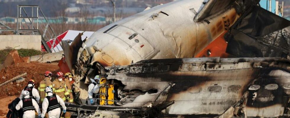 Science apres les differents scenarios dune catastrophe