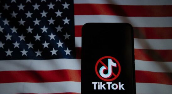 TikTok annonce quil suspendra temporairement ses services aux Etats Unis