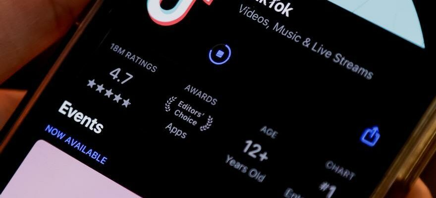 TikTok cesse de fonctionner aux Etats Unis