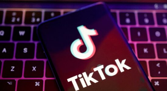 TikTok qualifie la vente a Elon Musk de pure fiction