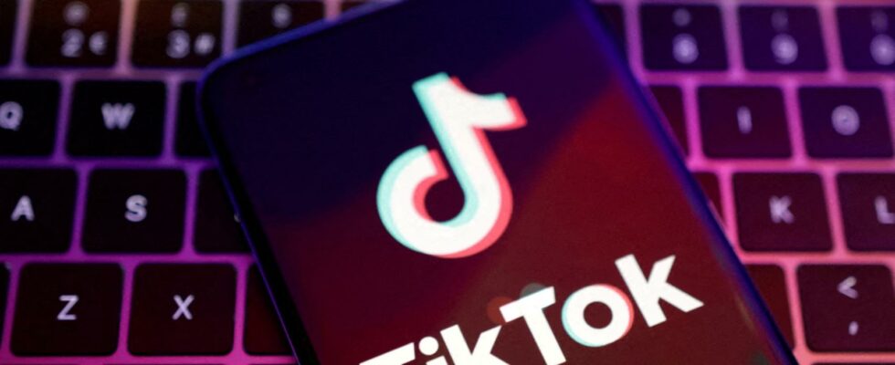 TikTok qualifie la vente a Elon Musk de pure fiction