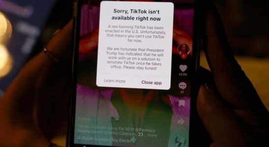 TikTok retablit son service aux Etats Unis apres que Trump ait