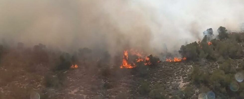 Un feu de foret devore une partie de la place