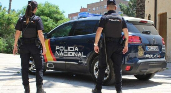 Un homme arrete a Almeria apres avoir avoue avoir tue