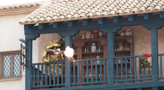 Un incendie oblige le parc a theme du Puy du