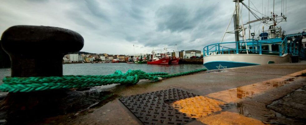 Un navire a amarre sur le port de Burela Lugo