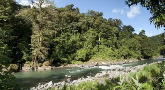 VOYAGE AU COSTA RICA Mollejones un tresor naturel et