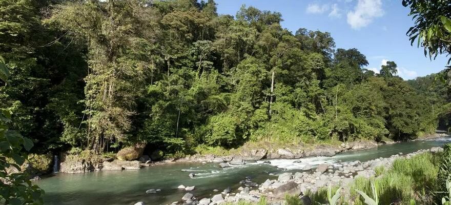 VOYAGE AU COSTA RICA Mollejones un tresor naturel et