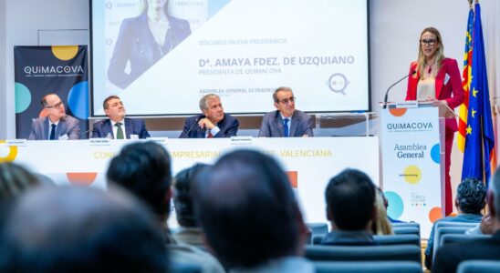 Amaya Fernandez assume la presidence de lemployeur chimique apres le