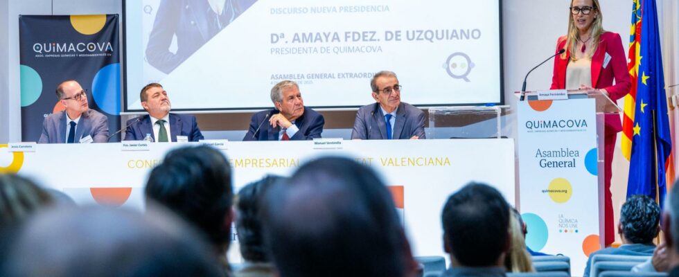 Amaya Fernandez assume la presidence de lemployeur chimique apres le