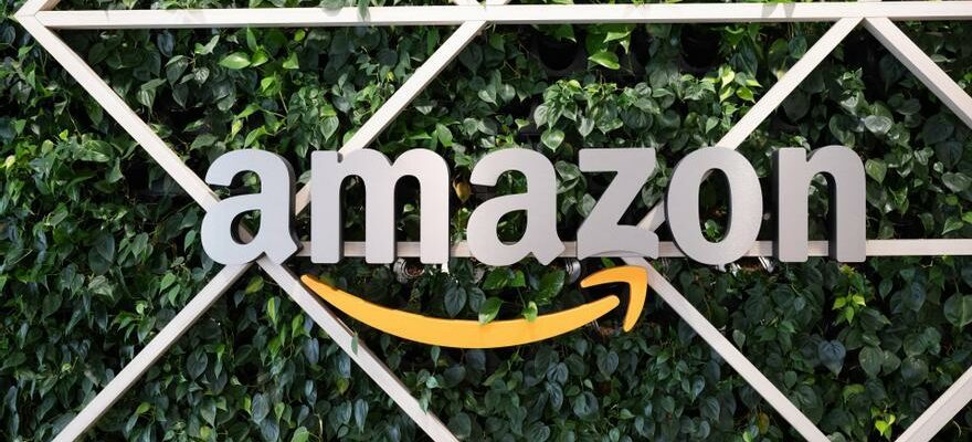 Amazon gagne 95 de plus en 2024 mais decoit avec