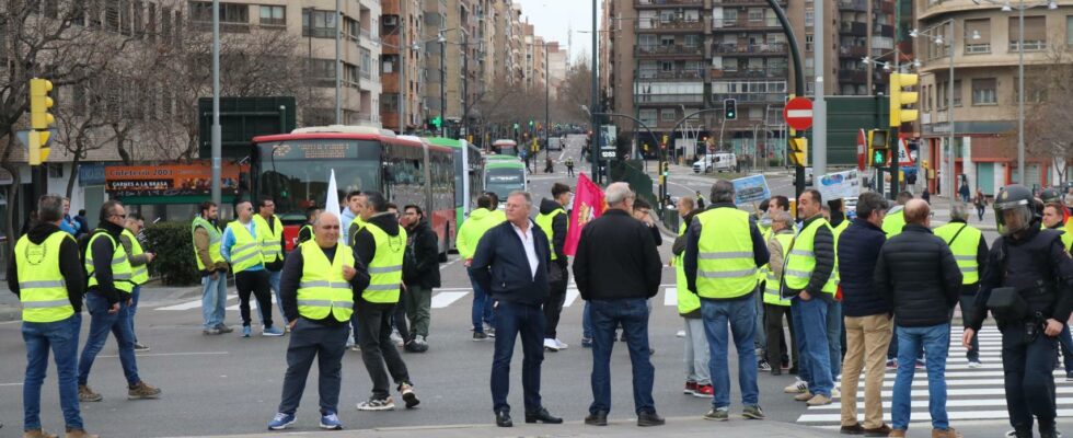 Cela a ete le retour des agriculteurs a Aljaferia