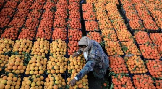 Comment une orange par jour peut reduire le risque de