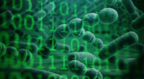 Ils creent la base de donnees microbienne numerique du monde