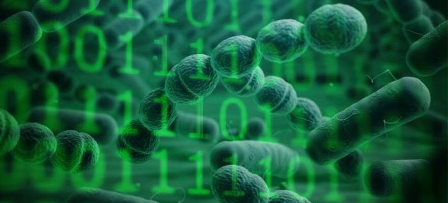 Ils creent la base de donnees microbienne numerique du monde