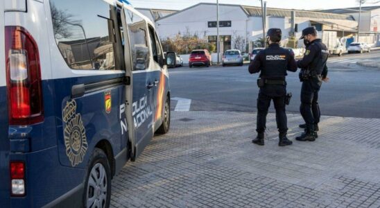 Ils demantelent dans une ville de Tolede un reseau qui