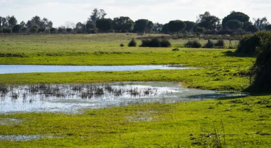 Jusqua 250 entreprises prennent de leau illegalement des aquiferes de