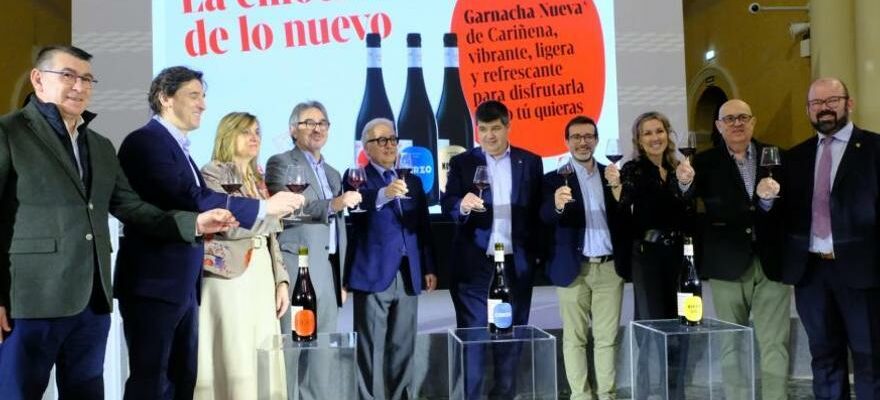 La Carinena lance une nouvelle gamme de vins jeunes frais