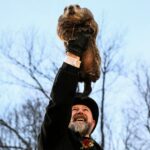 Lanimal a regarde son ombre en quittant le terrier