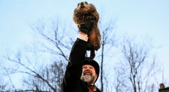 Lanimal a regarde son ombre en quittant le terrier