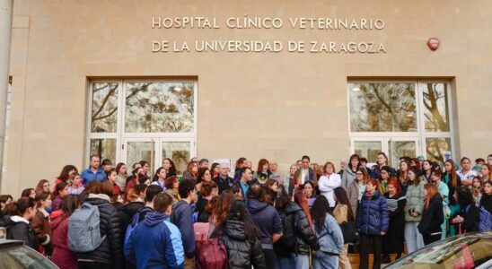 Le chomage symbolique a la Faculte du veterinaire de Zaragoza