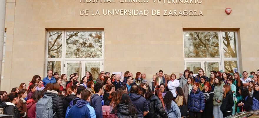 Le chomage symbolique a la Faculte du veterinaire de Zaragoza