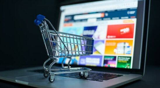 Le defi cache du commerce electronique