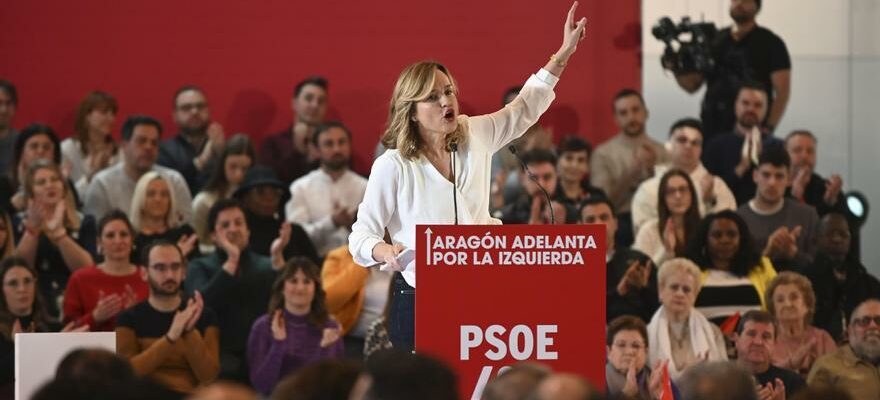 Le psoe dAlegr