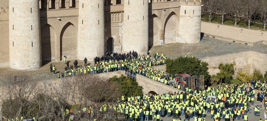 Le secteur de lagroganade est mobilise devant lAljafia pour exiger