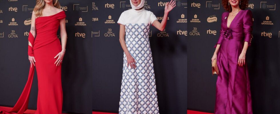 Les meilleurs looks du tapis rouge des Goya 2025