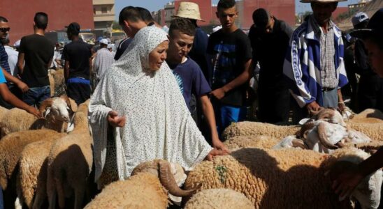 Mohamed VI suspend le parti islamique du sacrifice de lagneau