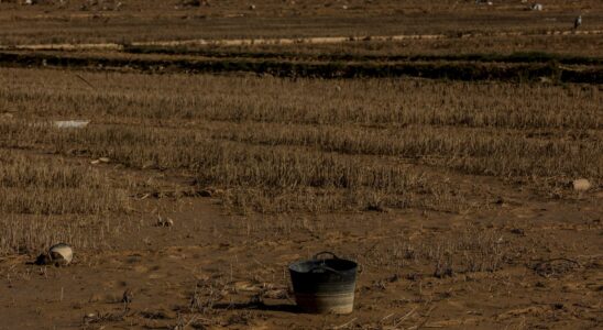 Nouvelle ligne daide pour 500 agriculteurs et plus de 1