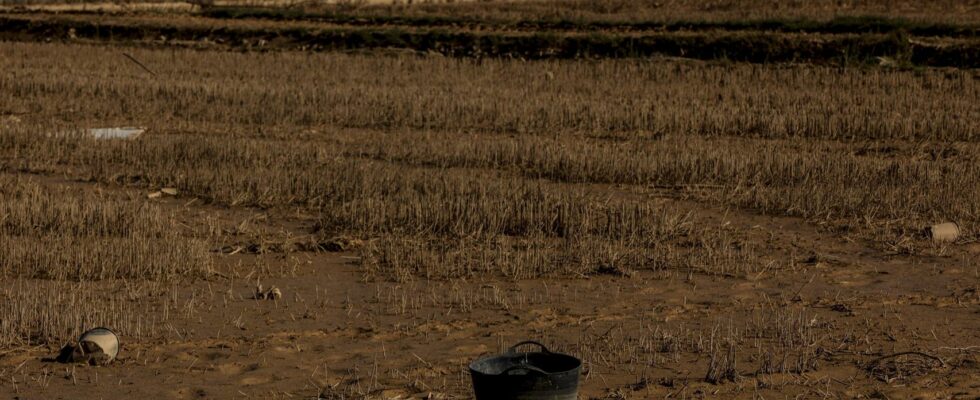 Nouvelle ligne daide pour 500 agriculteurs et plus de 1