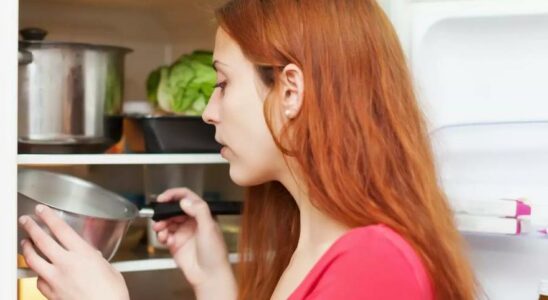 Refrigerateur daliments chauds Au revoir pour garder les restes