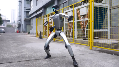 Regarder Humanoid Robot effectuer du kung fu RT Entertainment