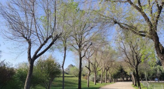 Un boulevard vert reliera Seville Este a Torreblanca en 2027