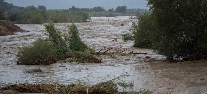 Un nouvel audio agite la bataille de lhistoire de Dana