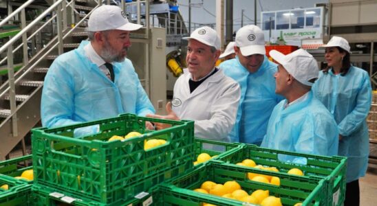 Une delegation du gouvernement de Malte visite Santomera pour connaitre