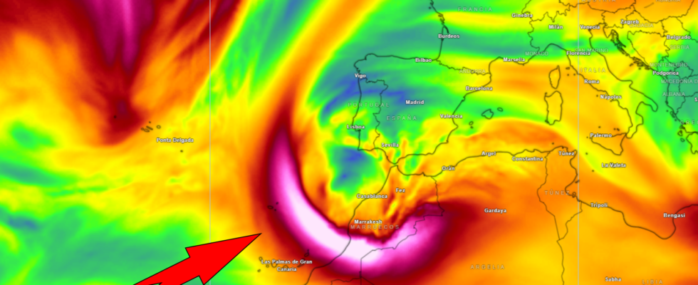 temperatures de 5 oC et 100 l m2 de